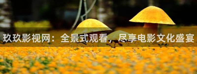 97dyy影院手机版